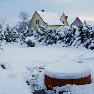 Winter yard wallpaper