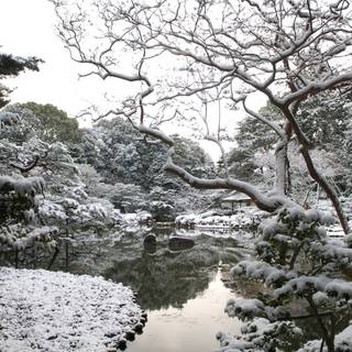 Winter yard wallpaper