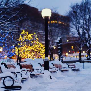 Winter yard wallpaper