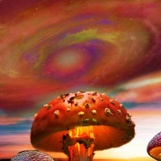 Dreamcore phone wallpaper