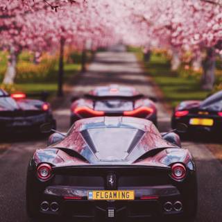 Forza Horizon phone wallpaper