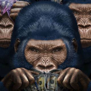 Monkey iPhone wallpaper