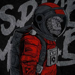 Monkey iPhone wallpaper