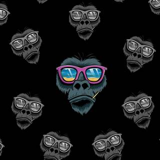 Monkey iPhone wallpaper