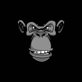 Monkey iPhone wallpaper