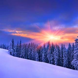 Purple winter scenery wallpaper