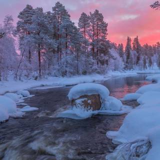 Purple winter scenery wallpaper