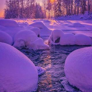 Purple winter scenery wallpaper