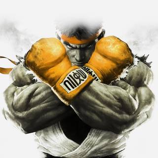 Ryu 4k wallpaper