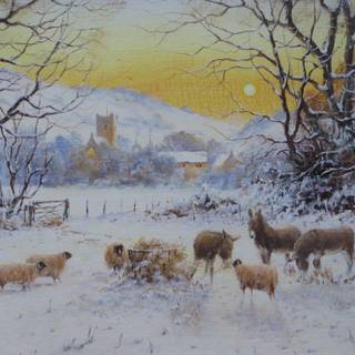 Sheep winter wallpaper