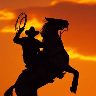 Cowboy iPhone wallpaper