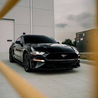 Mustang GT phone wallpaper