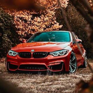 BMW M3 phone wallpaper