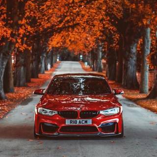 BMW M3 phone wallpaper