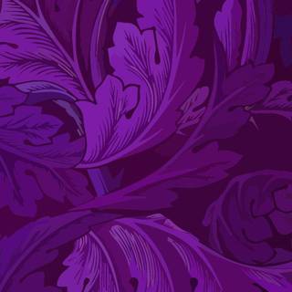 Violet phone wallpaper