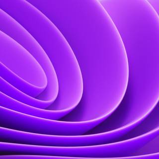 Violet phone wallpaper