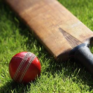 Cricket iPhone wallpaper