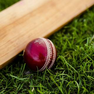 Cricket iPhone wallpaper