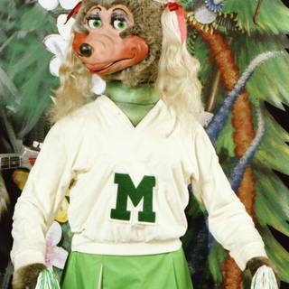 The Rock-afire Explosion wallpaper