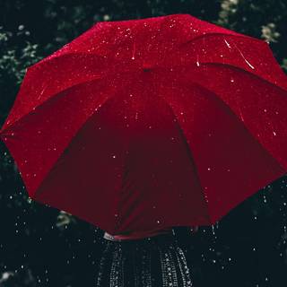 Rain aesthetic desktop wallpaper