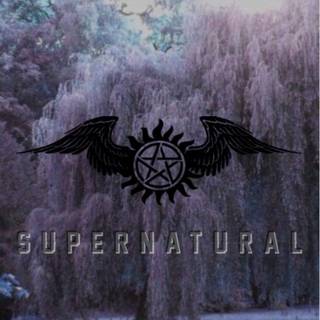 iPhone 4k Supernatural wallpaper