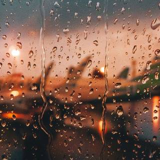 Rainy phone wallpaper