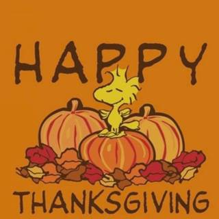 Happy Thanksgiving 2023 wallpaper