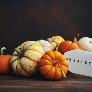 Happy Thanksgiving 2023 wallpaper