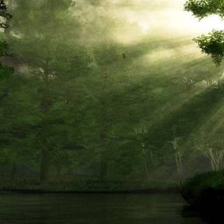 Green dual monitor wallpaper