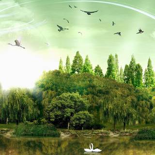 Green dual monitor wallpaper