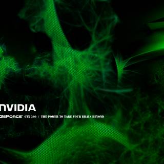 Green dual monitor wallpaper