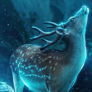Neon deer wallpaper