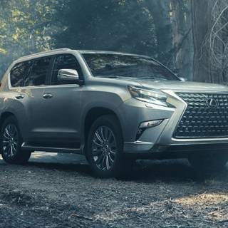 Lexus GX wallpaper