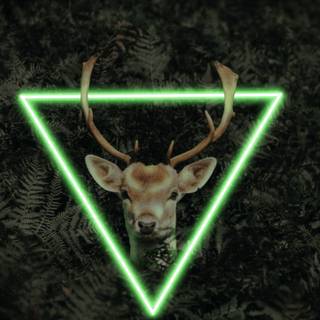 Neon deer wallpaper