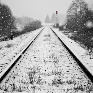 Winter trip wallpaper