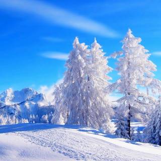 Winter blue sky wallpaper