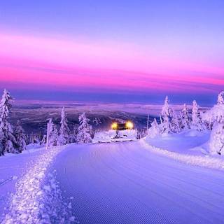 Winter trip wallpaper