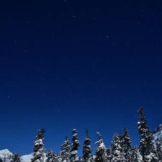 Winter blue sky wallpaper