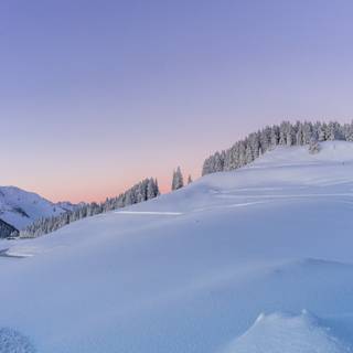 Winter blue sky wallpaper