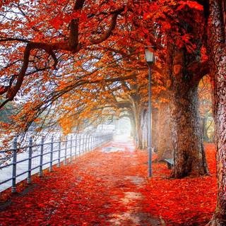 Lofi autumn 1920x1080 wallpaper