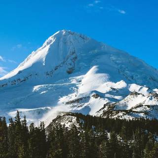 Winter blue sky wallpaper