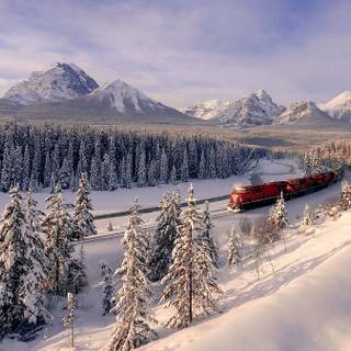 Winter trip wallpaper