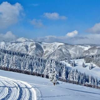 Winter trip wallpaper