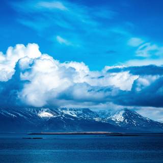 Winter blue sky wallpaper