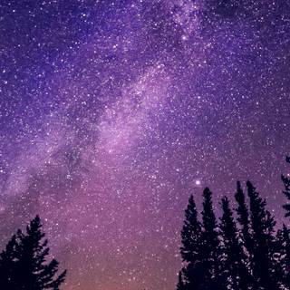 Winter blue sky wallpaper