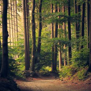 Autumn wildlife 2560x1600 wallpaper