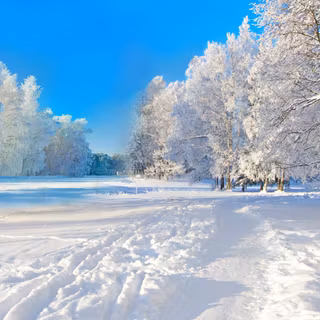 Winter blue sky wallpaper