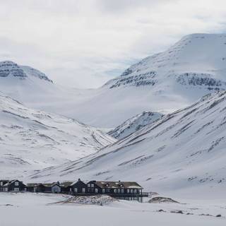 Winter trip wallpaper