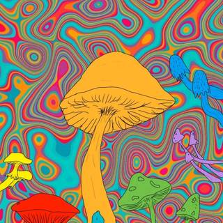 Mushroom iPhone wallpaper