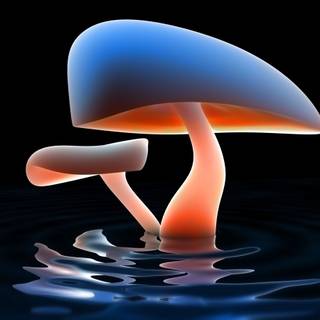 Magic mushroom 4k wallpaper